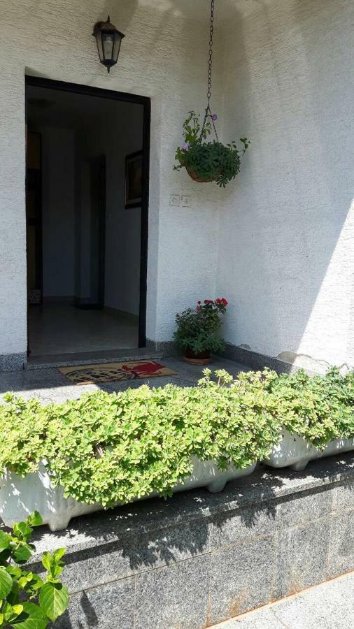 App Bajic Apartment Umag Exterior foto